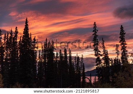 Incredible sunset sky with bright pink, orange and purple pastel tones spreading across the sky with trees in foreground. 