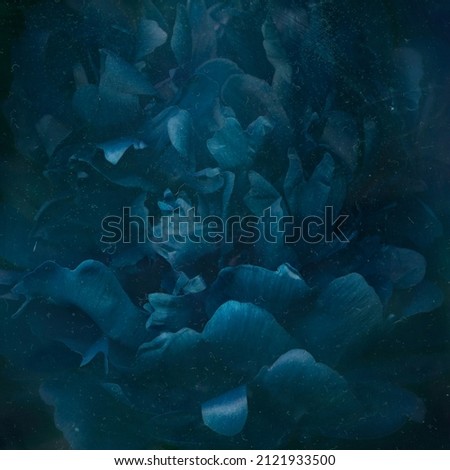 Beautiful blue flower petals underwater.Night flower close up romantic image. Dirty surface, abstract floral blossom background, nature for perfume scent, wedding, luxury beauty brand holiday design. Royalty-Free Stock Photo #2121933500