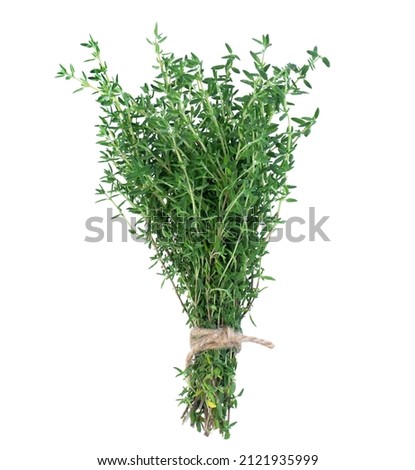 Bunch of thyme isolated on white background Royalty-Free Stock Photo #2121935999