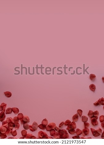 Large Valentine's day card background with rose petals | Top View Royalty-Free Stock Photo #2121973547