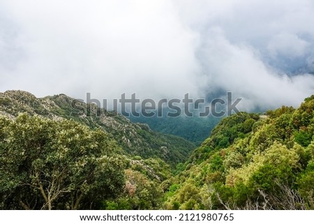 Amazing tropical panoramic view of turquoise bay, sandy beach, green mountains and plants, blue sky, white clouds background, Capo Vaticano rock platform, Calabria, southern Italy.