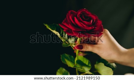 Crop person with red rose. From above crop hand of anonymous person holding red rose with green leaves.