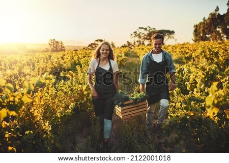 They grow their own. Shot of a young man and woman holding a crate full of freshly picked produce on a farm. Royalty-Free Stock Photo #2122001018