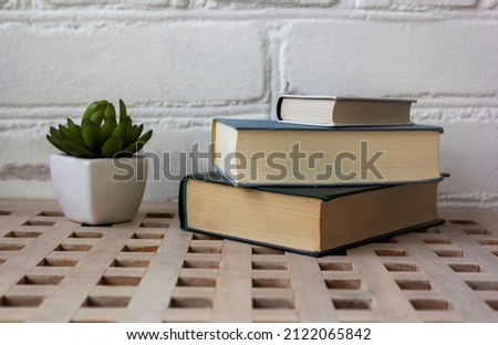 Old books on a wooden vintage table with cactus flower.