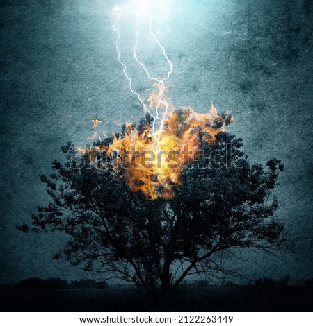 A lonely tree on fire after a lightning strike. The effect of overlay on the ancient texture of paper. Concept on theme of elements, forest fires, lightning, natural phenomena, religion, etc.