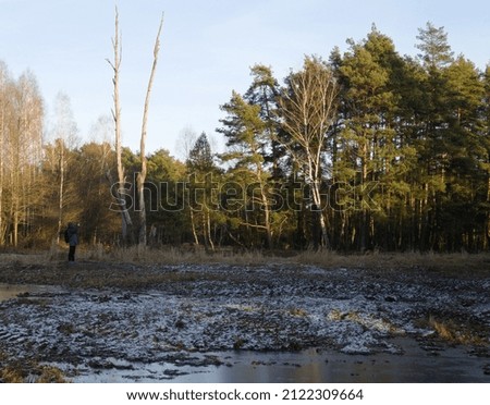 a photographer in the woods takes a picture