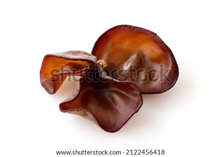 Kikurage mushroom(japanese wood ear mushroom) Royalty-Free Stock Photo #2122456418