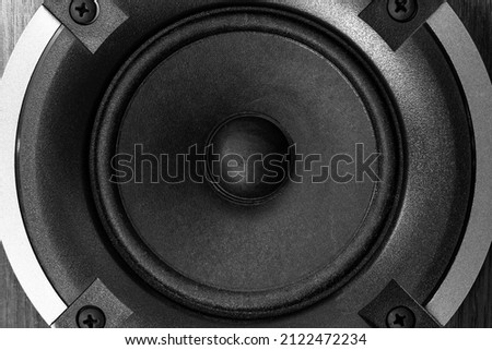 Audio speaker in black and white close up