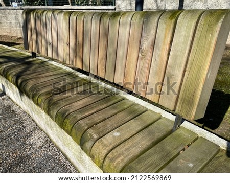 Natural Gothic style old wooden seat bench green Mossed abstract pastel buy wonderful interesting different background image alternative perspective angles