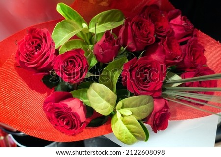 A bunch of twelve red roses arranged with lush green foliage and wrapped in red paper ready for Valentine's Day.