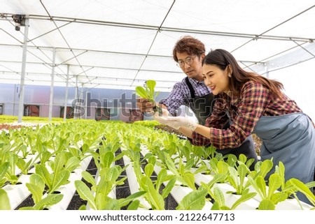 Hydroponic organic SME business farm owner. Asian farmer in agriculture industry. Hydroponic agricultural system, organic hydroponic vegetable garden at greenhouse. Royalty-Free Stock Photo #2122647713