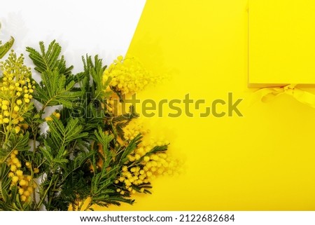 Bright yellow gift box with ribbon bow, mimosa on yellow and white background top view copy space. Birthday present, March 8, Mothers Day, Valentines Day, Easter or spring concept.