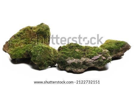 Green moss on group stone, isolated on white  Royalty-Free Stock Photo #2122732151