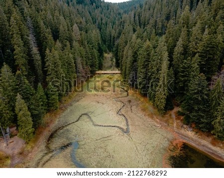 aerial view of autumn carpathian lake in ukraine mountains copy space