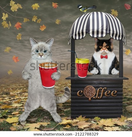 An ashen cat in a small wooden shop booth sells coffee in the autumn park.