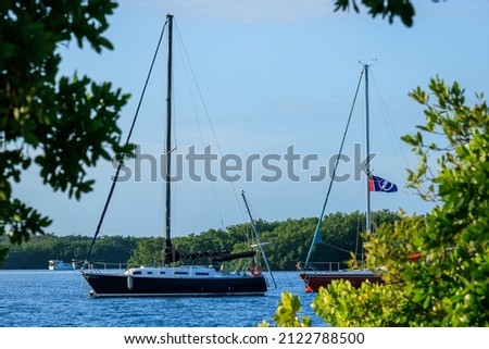 A photo of distant sailboats through the Florida mangroves Royalty-Free Stock Photo #2122788500