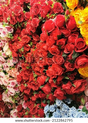 Beautiful flowers as background, red Roses for wallpaper design,selective focus.
