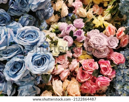 Colorful pantone roses as background and beautiful Flowers backdrop for wedding scene,selective focus.