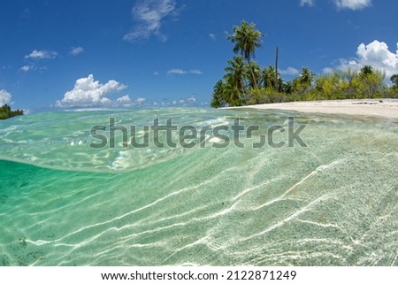 translucent lagoon of rangiroa - tuamotu - french polynesia  Royalty-Free Stock Photo #2122871249