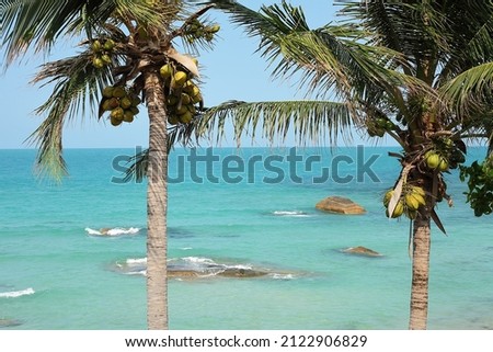 Sea, vacation, summer. beach, palm trees with coconuts.Koh Samui Island Thailand.Crystal Bay Beach.Silver Beach. Royalty-Free Stock Photo #2122906829