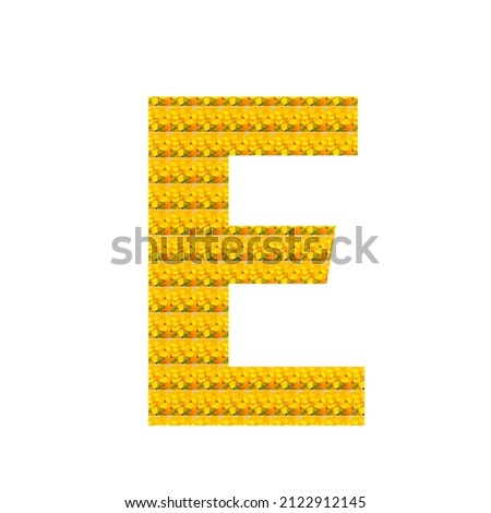Letter E in the form of yellow mustard flower isolated on white. Alphabet.  
