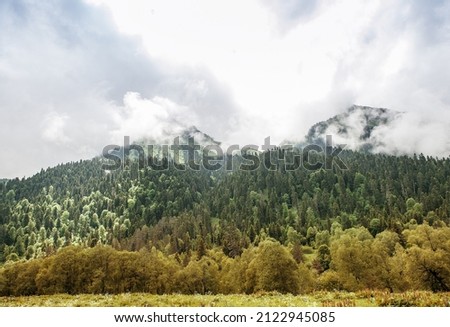 Beautiful mountain landscape with trees and meadow, valley and blue sky outdoor