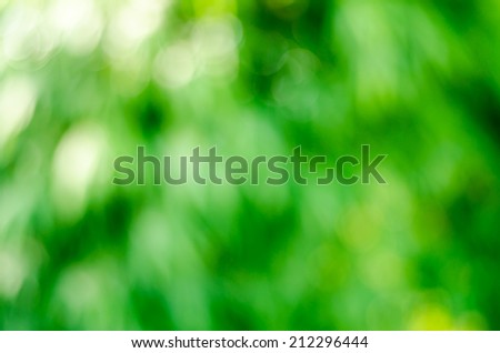 Green bokeh light of blur nature image background