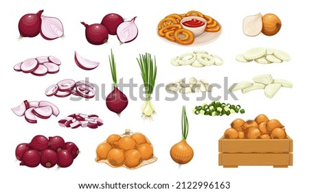 Onion icon set. Pile of onion bulbs, packed in net bag, in wooden crate, bunch of fresh green onions and rings. Vector illustration of harvest vegetables, farm product Royalty-Free Stock Photo #2122996163