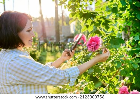 Woman resting in spring garden, photographing on smartphone blooming rose bush