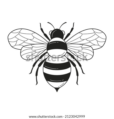 Hand drawn bee outline illustration Vector illustration.