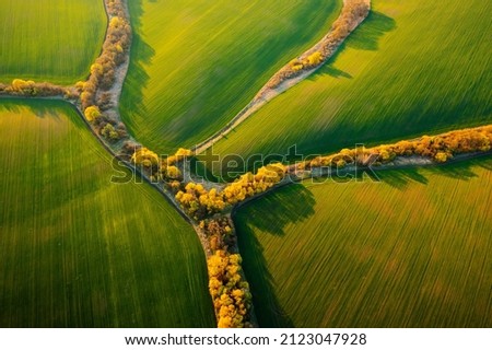 Bird's eye view of abstraction agricultural area and green wavy fields in sunny day. Aerial photography, top view drone shot. Ukrainian agrarian region, Europe. Picturesque wallpaper. Beauty of earth.