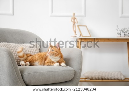 Cute red cat lying in grey armchair at home Royalty-Free Stock Photo #2123048204