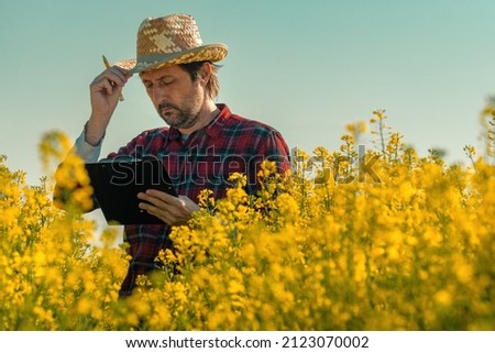 Oilseed rape farmer writing notes on clipboard notepad in blooming field, agronomist farm worker performing crop control