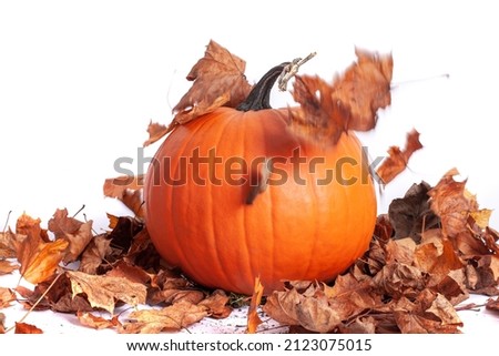 Halloween orange pumpkin with seasonall autumn leaves falling, isolated on white background