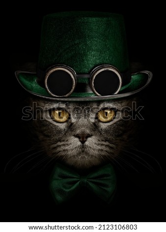 dark muzzle cat  in green hat with canned glasses  and tie butterfly