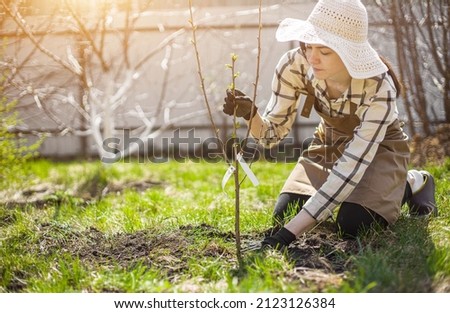 a woman is planting a cherry tree in my garden. spring gardening Royalty-Free Stock Photo #2123126384