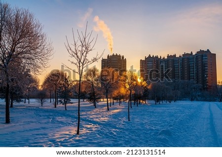 beautiful winter sunset in the city park. High quality photo