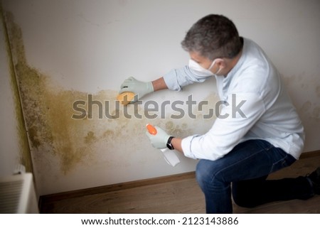 Man with protective mask tries to remove mold on wall with sponge and cleaning agent Royalty-Free Stock Photo #2123143886