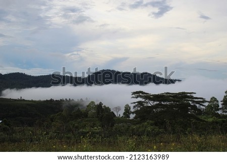 when soft clouds touch the rain forest in the interior of Sumatra.