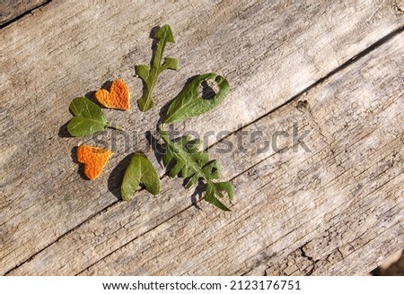 Sharing love and hope concepts. Green and orange hearts, USB connectivity symbol, internet location icon sign, and word hope on wooden background.