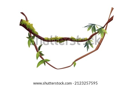 Liana or vine winding branches cartoon vector illustration. Jungle tropical climbing plants. Royalty-Free Stock Photo #2123257595