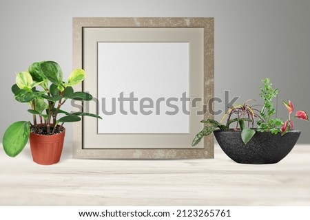 Wooden picture frame on a shelf with flowers in pots