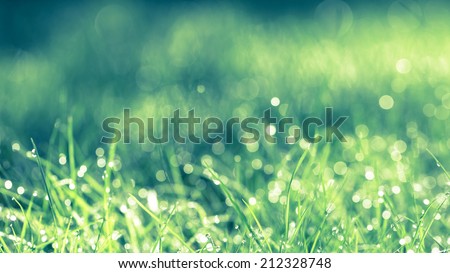 Abstract natural background. Fresh spring grass with drops on natural defocused light green background. Retro filtered.  Cross process, Royalty-Free Stock Photo #212328748