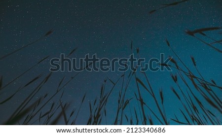 4K Night Starry Sky With Glowing Stars And Meteoric Track Trails Above Green Young Wheat Field In Summer Agricultural Season. Rotate Background . Bottom View.