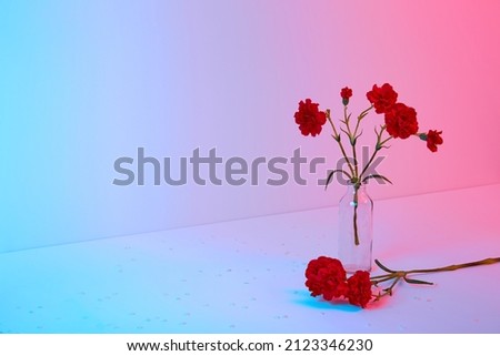 Red carnation bouquet in glass vase on blue and pink color background. Copy space. Flower design. Business card mockup. Memorial day. Elegant style. Happy celebration. Holiday decoration. Text place.