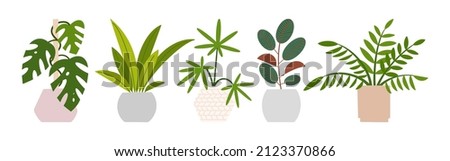 Houseplants set in flowerpots. Flat hand drawn foliage plants for modern office or home decor illustration. Cute green flower for urban jungle garden.