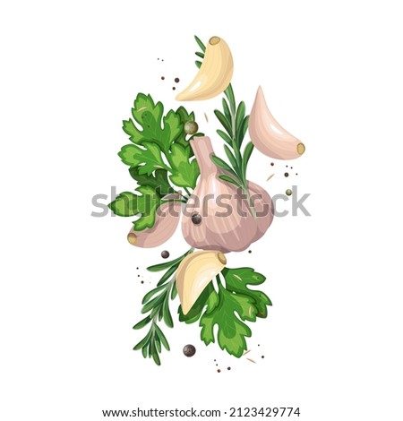 Falling garlic with herbs and spices. Cooking spicy food concept. Vector illustration of fresh garlic. Royalty-Free Stock Photo #2123429774