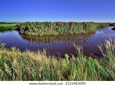 Thick grass over the Tula riverbed under a cloudy sky. Novosibirsk Region, Siberia, Russia