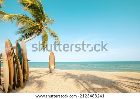 Surfboard and palm tree on beach with beach sign for surfing area. Travel adventure and water sport. relaxation and summer vacation concept. vintage color tone image. Royalty-Free Stock Photo #2123488241