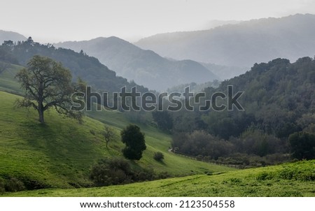 Views of Byrne Preserve towards Santa Cruz Mountains. Los Altos Hills, Santa Clara County, California, USA. Royalty-Free Stock Photo #2123504558